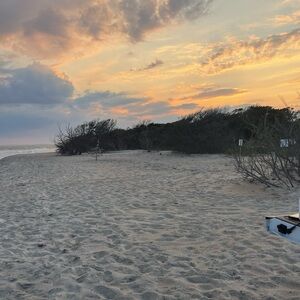 Meet your Posher, Tonya